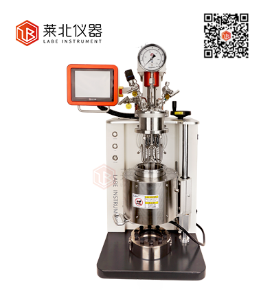 1665812072828275.png LB1000機(jī)械攪拌反應(yīng)釜.png